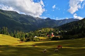 Shangarh Meadows