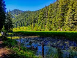  Pundrik Rishi Lake &amp; Trek